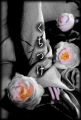 ���Կռ�ǩ��ͼƬ_������ͼƬ