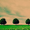 qqͷ�� ������qqͷ�� www.qqfzl.com