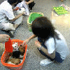 ��������Ů����ͼƬ_��������ŮQQ����ͷ��
